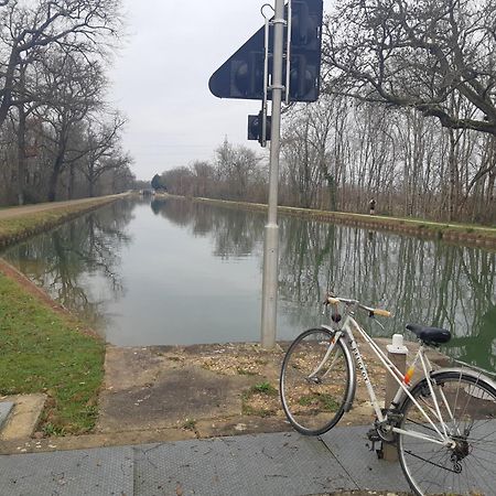 Maison De Famille Avec Parc Arbore Montauban Dış mekan fotoğraf